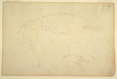 Bosrijke Heuvel, Catskill Bergen door Frederic Edwin Church