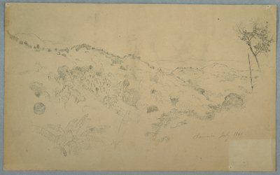 Bosrijke vallei met een grote varen en verre bergketens, Jamaica door Frederic Edwin Church