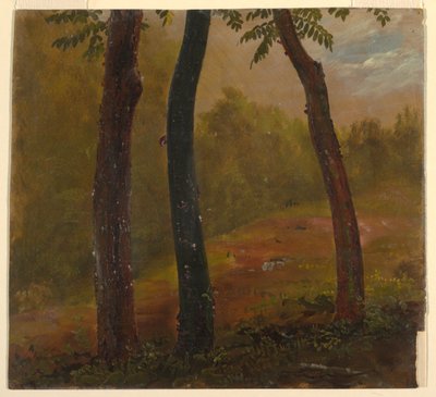 Boslandschap, Jamaica door Frederic Edwin Church