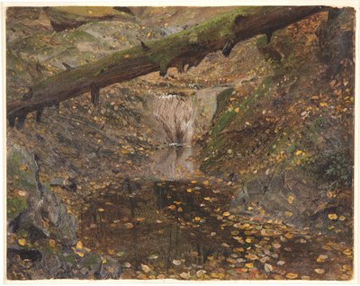 Bosbeek, mogelijk Mt. Desert, Maine door Frederic Edwin Church