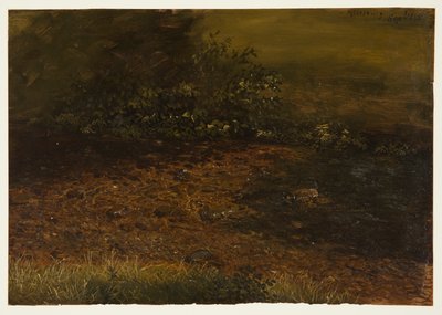 Bosbeek in de Catskills door Frederic Edwin Church