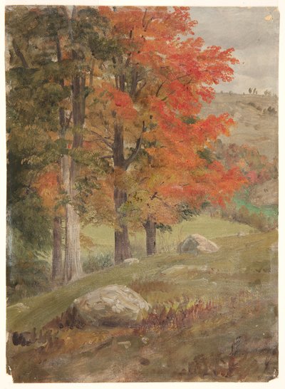 Bossen in de Herfst door Frederic Edwin Church
