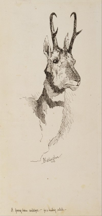 Een Pronghorn-antilope door Frederic Remington