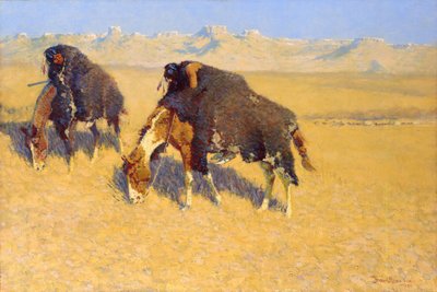 Indianen simuleren buffels door Frederic Remington