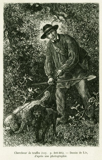 Een truffelzoeker. Gravure door Lix ter illustratie van het verhaal 