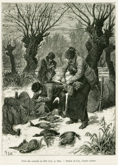 Eenden vangen in het net. Gravure door Lix, ter illustratie van het verhaal 