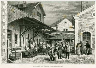 Zuivel in de Melkhal van Mulhouse. Gravure door Lix ter illustratie van het verhaal 