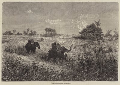 India en de Prins van Wales, Tijgerjacht vanuit de Howdah door Frederic Theodore Lix