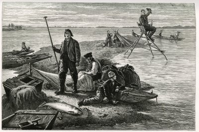 Zalmvissen. Gravure door F.Lix, ter illustratie van het verhaal 