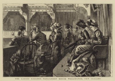 De damesgalerij, Parliament House, Wellington, Nieuw-Zeeland door Frederic Villiers