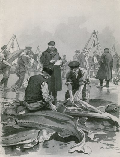 Kaviaar halen in Astrachan door Frederic de Haenen