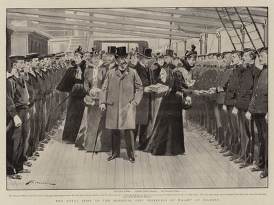 Het Koninklijk Bezoek aan het Hospitaalschip Princess of Wales in Tilbury door Frederic de Haenen