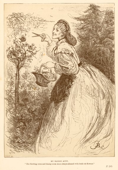 Mijn oude tante door Frederick Barnard