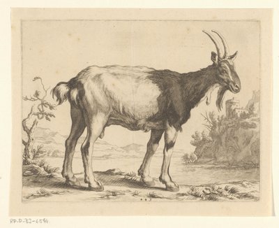 Geit door Frederick Bloemaert