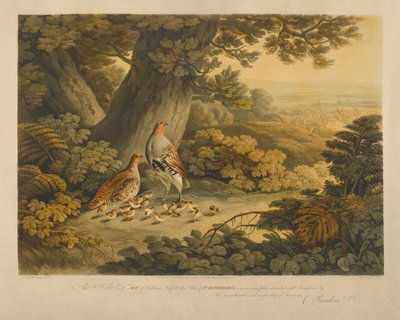 Patrijzen door Frederick Christian Lewis