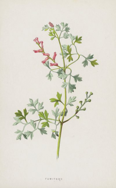 Duivenkervel door Frederick Edward Hulme