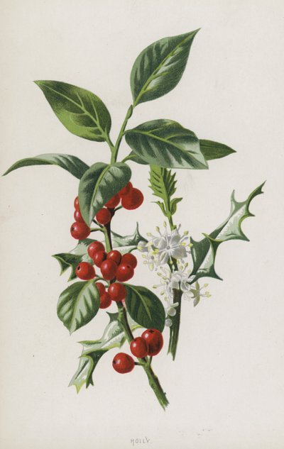 Hulst door Frederick Edward Hulme