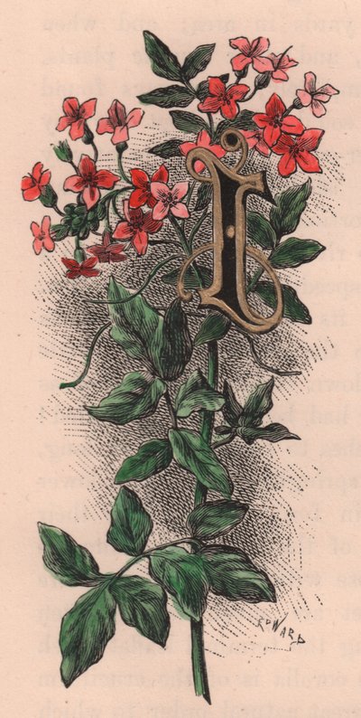 Letter I, initiaal, aquarelgravure, door Frederick Edward Hulme uit The familiar Garden Flower, circa 1880 door Frederick Edward Hulme
