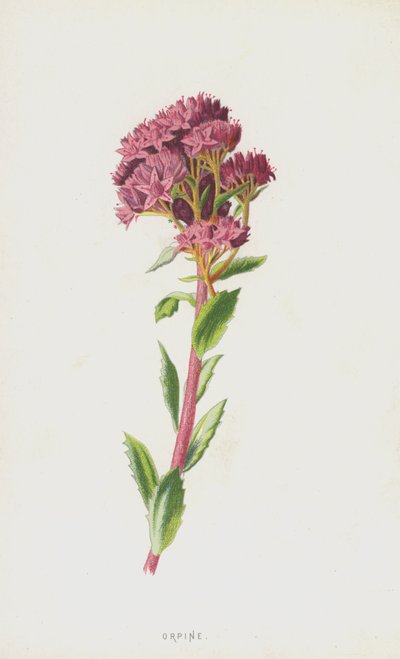Hemelsleutel door Frederick Edward Hulme