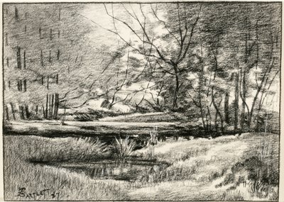 Vijver in de Adirondacks door Frederick Eugene Bartlett