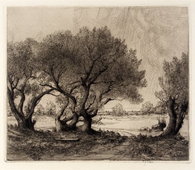 Oude wilgen door Frederick G. Hall