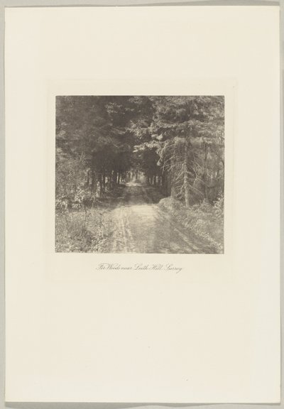 Sparrenbos bij Leith Hill, Surrey door Frederick H. Evans