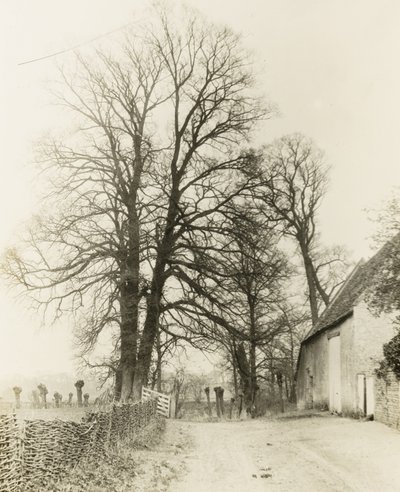 Kelmscott Manor: Weg en ingang door Frederick H. Evans