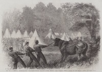 De oorlog in Amerika, afdeling kwartiermeester, het doden van ossen in het federale kamp, Virginia door Frederick John Skill