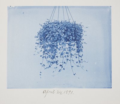 Zonder titel, 24 april door Frederick K. Coulson