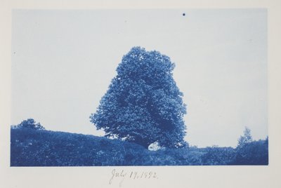Zonder titel, 19 juli door Frederick K. Coulson