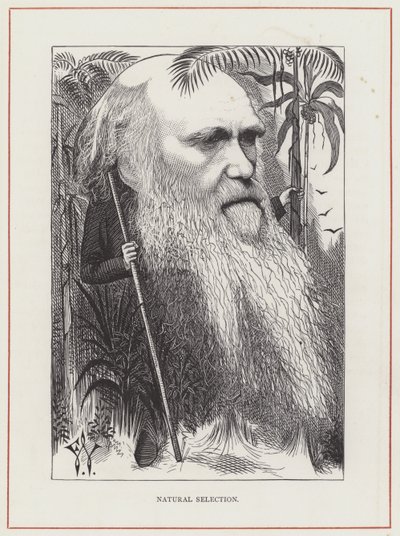 Charles Darwin door Frederick Waddy