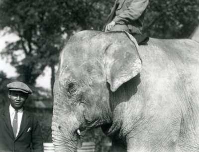 Een Birmaanse Olifant met zijn trainer en een andere man, London Zoo, september 1926 door Frederick William Bond
