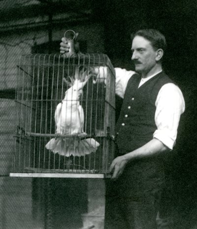 Een verzorger houdt een zwavelkuifkaketoe, Jade, in zijn kooi in de London Zoo in oktober 1924 door Frederick William Bond