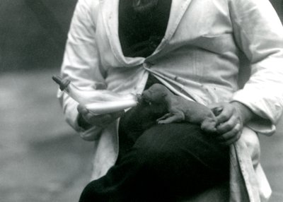 Een pasgeboren leeuwenwelp wordt met de fles gevoed door zijn verzorger, London Zoo door Frederick William Bond