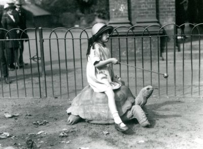 Een klein meisje, Betty, houdt een stok met een appel om de Reuzenschildpad te leiden waarop ze rijdt, London Zoo, 1924 door Frederick William Bond