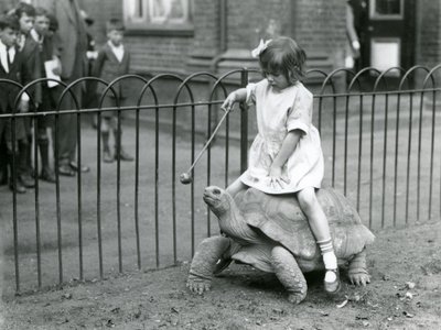 Een klein meisje, Betty, houdt een stok met een appel aan het uiteinde om de reuzenschildpad te leiden waarop ze rijdt, London Zoo, 1924 door Frederick William Bond