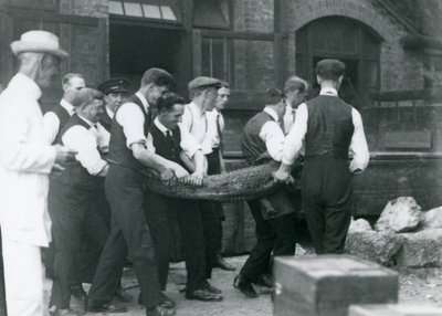 Een team van mannen draagt een alligator onder toezicht van Sir Peter Chalmers Mitchell, London Zoo door Frederick William Bond