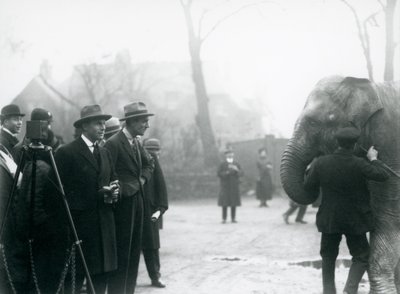 Een Indiase Olifant, mogelijk Sundermalah, tijdens een buitenuitzending van London Zoo, 1925 door Frederick William Bond