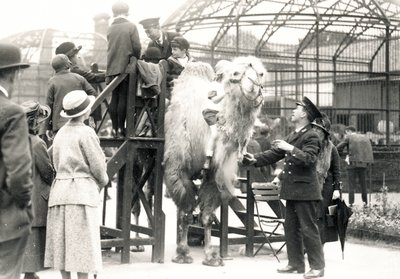 Kameelrijden met verzorger H. Warwick door Frederick William Bond