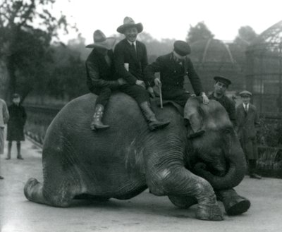 Cowboys en trainer met vrouwelijke Indische olifant Sundermalah tijdens een bezoek aan de London Zoo door Frederick William Bond