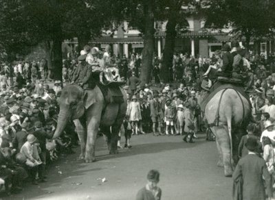 Olifantenritten, met twee Aziatische olifanten bekeken door menigten toeschouwers in London Zoo in augustus 1926 door Frederick William Bond