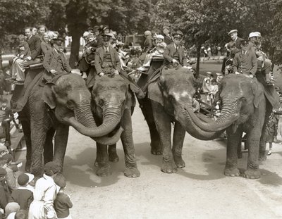 Olifantenritten in de Londense Zoo, juli 1936 door Frederick William Bond