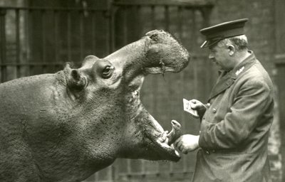 Nijlpaard Bobbie met verzorger Ernie Bowman, London Zoo, 1927 door Frederick William Bond