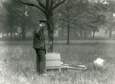 Verzorger Brown verplaatst een zwerm honingbijen, London Zoo, juli 1926 door Frederick William Bond