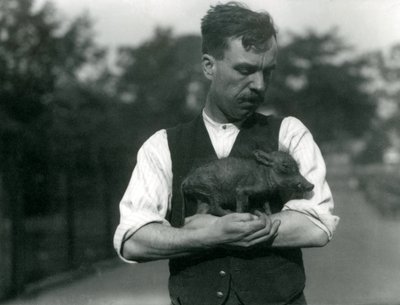 Verzorger Harry Warwick wiegt een baby wrattenzwijn in zijn armen in de London Zoo, augustus 1922 door Frederick William Bond