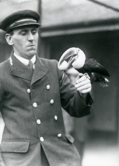 Verzorger, Thomas Raggett, houdt een roodbektoekan met een ei in zijn bek in London Zoo in 1924 door Frederick William Bond
