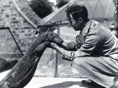 Komodovaraan Sumbawa met verzorger H. Alec Budd, 1928 door Frederick William Bond