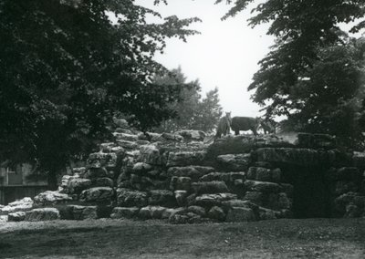 De elandantilopenweide in de Londense dierentuin in juni 1924 door Frederick William Bond