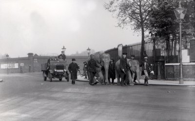 Een paar olifanten van de dokken naar ZSL London Zoo lopen, de laatste keer dat dit ooit werd gedaan, 1923 door Frederick William Bond