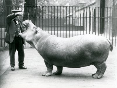 Jonge nijlpaard Bobbie met verzorger Ernie Bowman, London Zoo, juli 1923 door Frederick William Bond